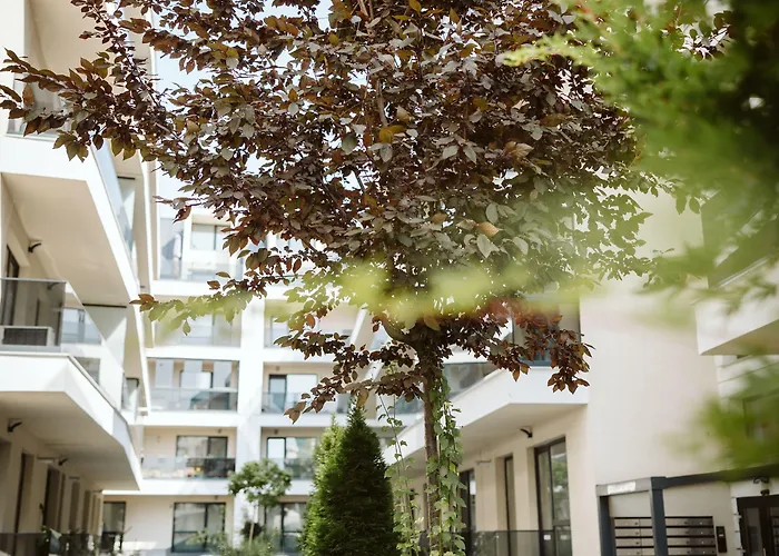 Dec Apartamento Bucarest